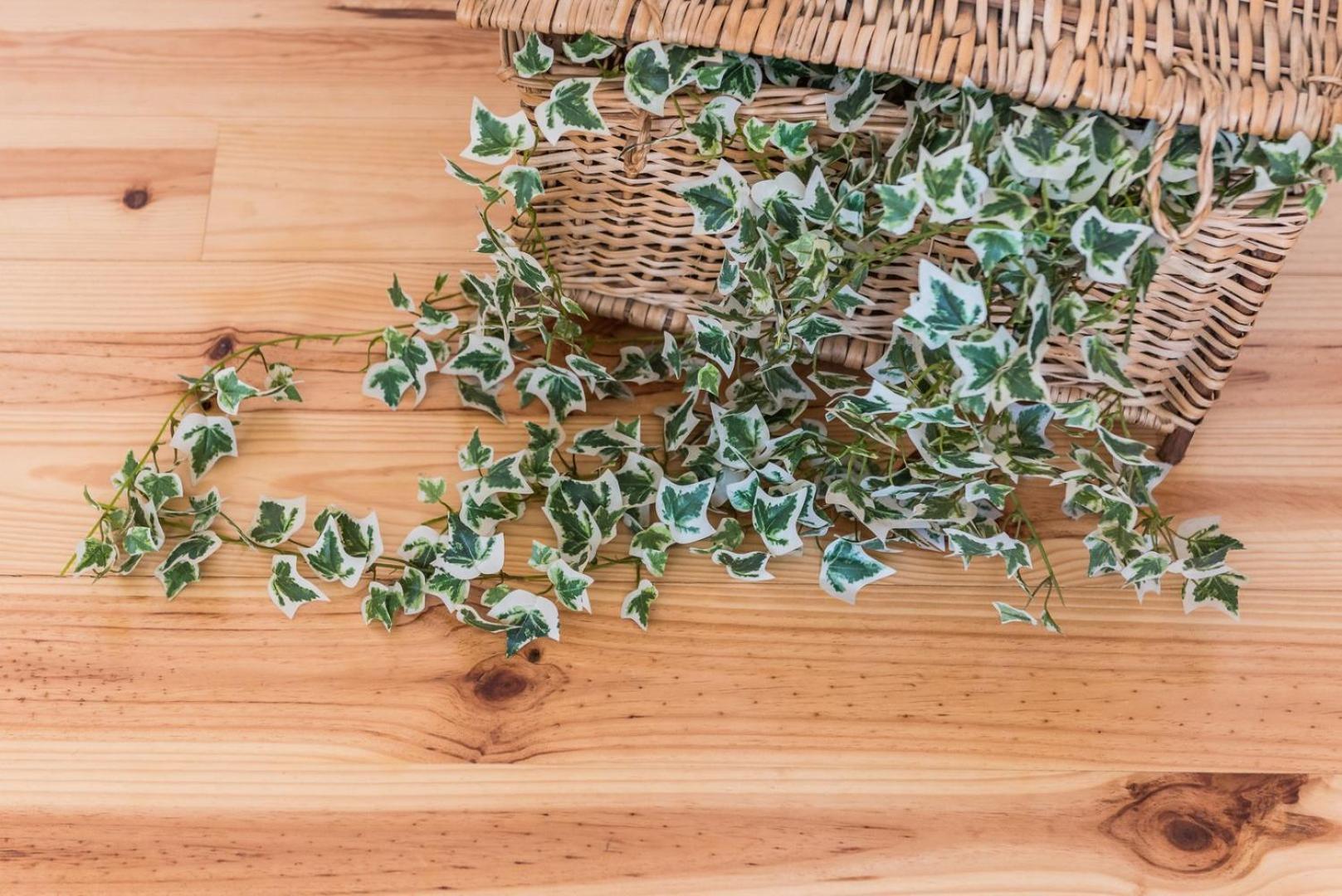פורטו Guestready - Coral Apartment מראה חיצוני תמונה